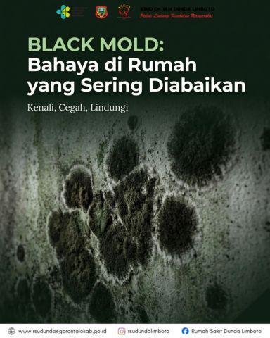 Black mold : Bahaya di Rumah Sering diabaikan